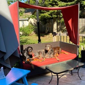 Meet your Posher, Elizabeth